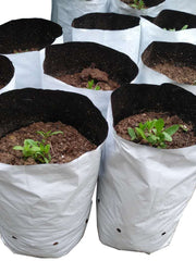 Load image into Gallery viewer, Black & White Grow Bags Planters Panda Film