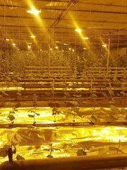 Load image into Gallery viewer, Diamond Mylar Film Roll 6 Mil