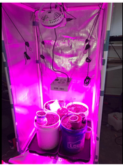 Load image into Gallery viewer, Diamond Mylar Film Roll 6 Mil