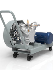 Load image into Gallery viewer, CMEP-V400 RECOVERY PUMP