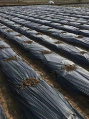 Load image into Gallery viewer, Black Plastic Sheeting Roll 6 Mil