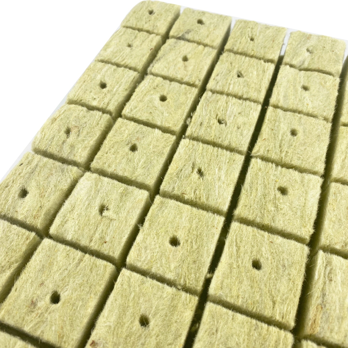 1.5” Rockwool Starter Plugs for Hydroponics, Rockwool Grow Cubes, 2 Sheets of 49 Plugs, 98 Plugs Total Visit the HFS Store