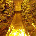 Load image into Gallery viewer, Diamond Mylar Film Roll 6 Mil
