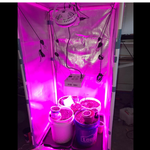 Load image into Gallery viewer, Diamond Mylar Film Roll 6 Mil
