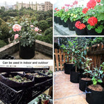 Load image into Gallery viewer, Aeration Fabric Pot Plant Grow Bag w/Handles (Black)
